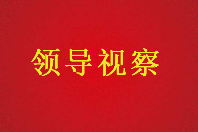 陜西省國土資源廳廳長盧勇一行來不動產(chǎn)登記服務(wù)中心調(diào)研、指導(dǎo)工作