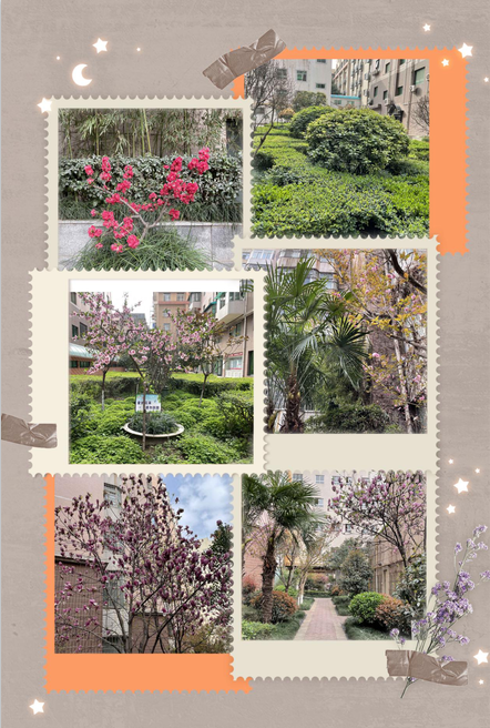 春景這邊獨(dú)好.......