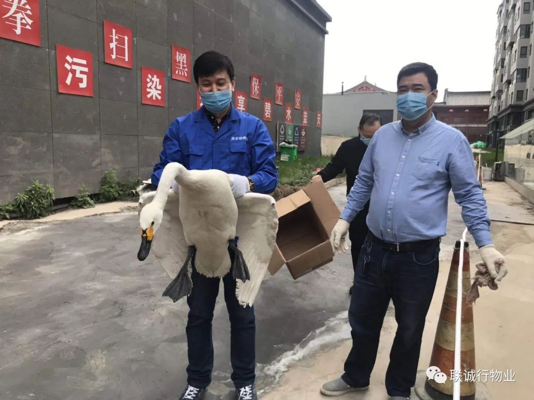 1592906428480843.jpg 09-2.jpg