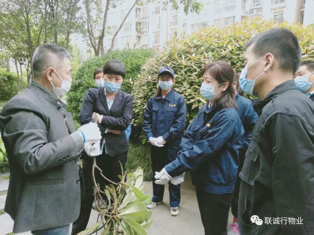 1592907219416929.jpg 13-2.jpg