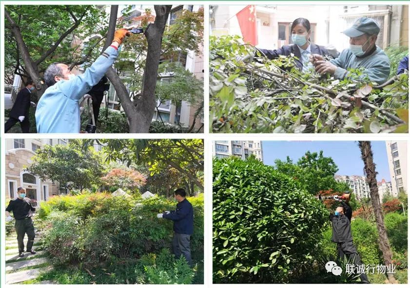 1592907302625953.jpg 13-5.jpg