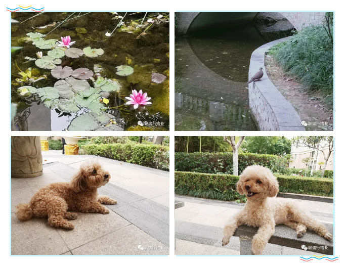 1592908277525332.png 19-6.png