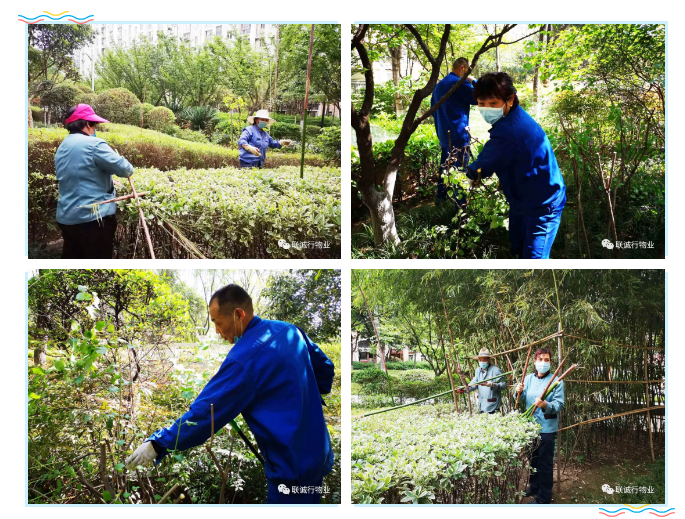 1592908334858899.png 19-9.png