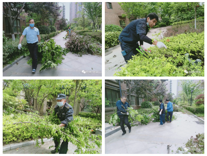 1592908500176854.png 20-3.png