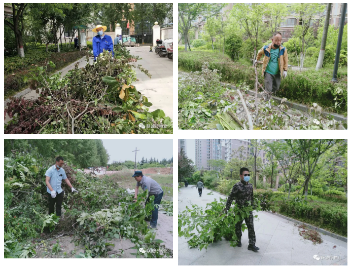 1592908537540873.png 20-4.png