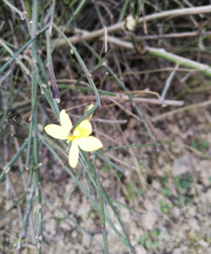 1594694813927855.png 圖片1.png