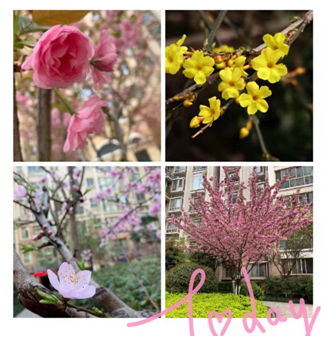 1594970959105053.png 圖片14.png