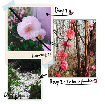 1594970983764450.png 圖片15.png