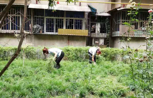 1595216053885920.png 圖片4.png