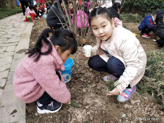 1595319616587004.png 圖片6.png