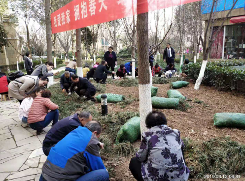 1595319628940250.png 圖片7.png