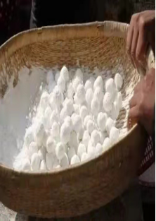 1614393772439335.png 1614393772439335.png