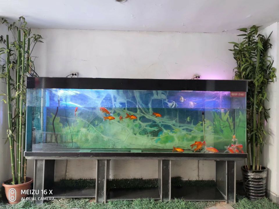 1615969532744595.png 1615969532744595.png