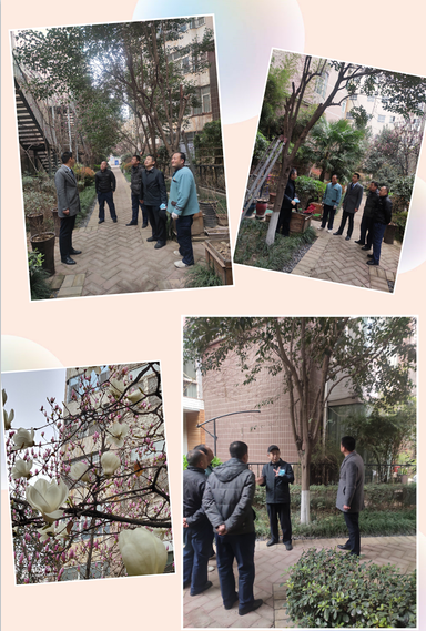 1615969681624225.jpg 13 (1).jpg