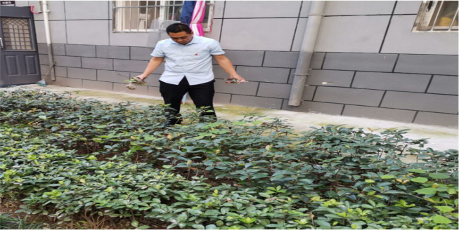 1631870630638290.png image.png