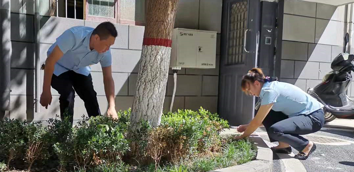 1631870951947295.png image.png