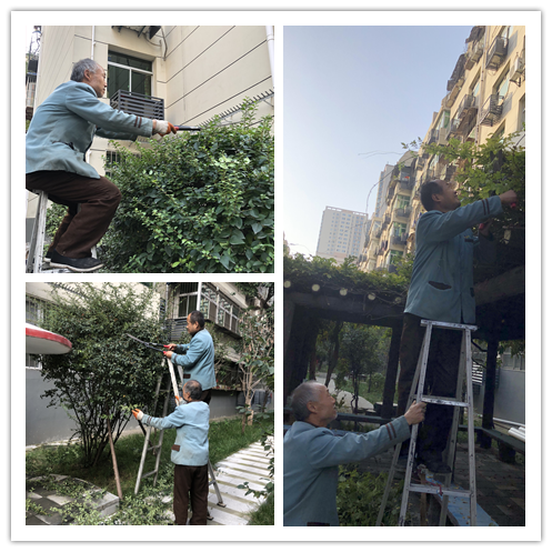 吉祥小區(qū)11月工作簡報(bào)