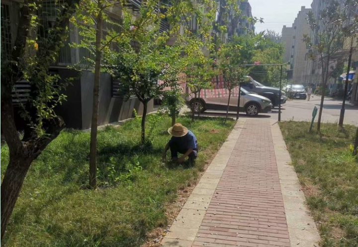 1660905817122917.png image.png