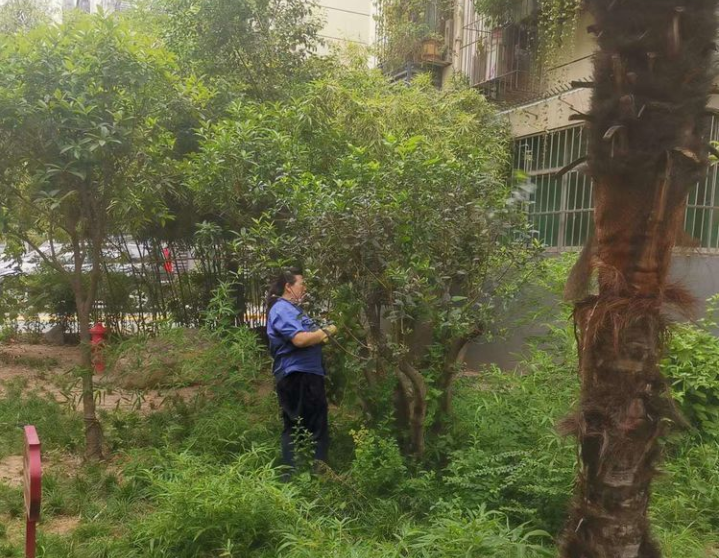 1660906087278622.png image.png