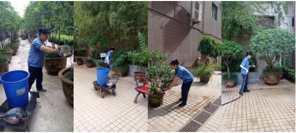 1662707791229822.png image.png