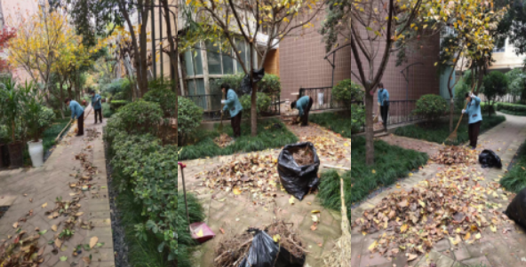 1672385014891961.png image.png