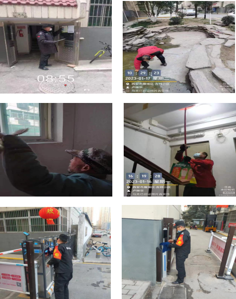 瑞兔守吉祥，平安過大年