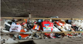 &ldquo;凈&rdquo;我所能  共筑美好 &mdash;&mdash;廣豐美郡管理處工作紀(jì)實