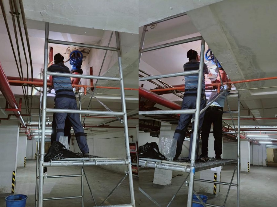 1729320440763185.jpg 21481ec6-4ead-4f76-b629-a78e7b897b1e.jpg