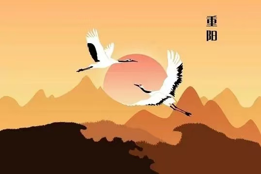 1729320919236166.png 企業(yè)微信截圖_17293206634884.png