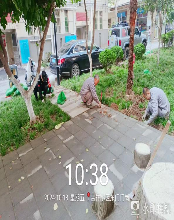 1730368640631892.png image.png