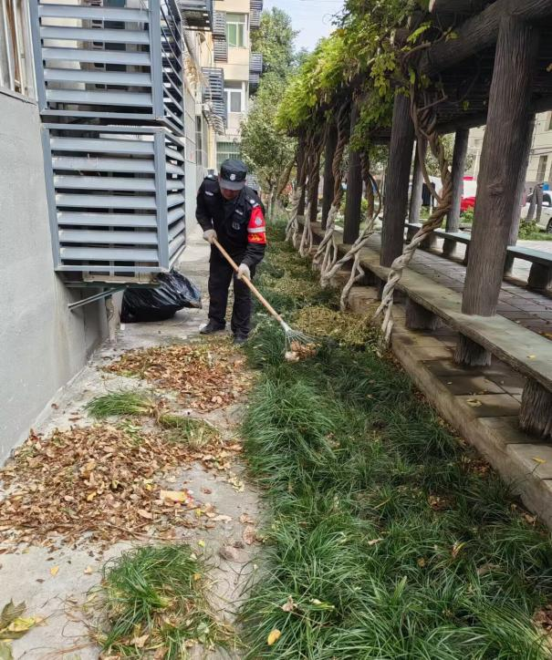 1730368660513459.png image.png