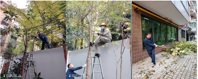 1732176295569320.png 企業(yè)微信截圖_17321762882282.png